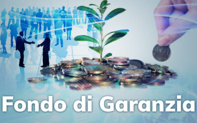 Fondo di garanzia PMI: riforma 2024 in vigore